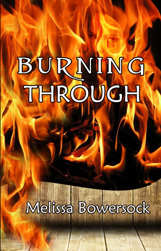 Burning Through book cover