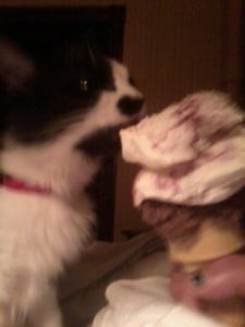 Midge licking ice cream